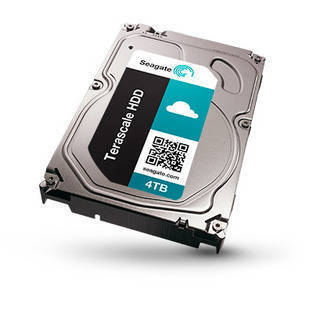 Seagate Enterprise Value HDD ST1000NC001 - hard drive - 1 TB - SATA-600