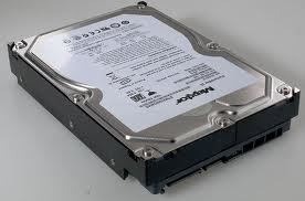 Seagate Maxtor STM31000340AS SATA Hard Drive