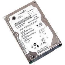 Seagate ST980811AS SATA Hard Drive