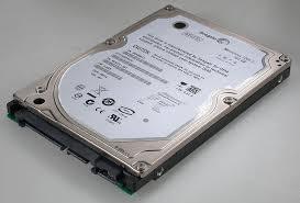Seagate ST9160823ASG SATA Hard Disk Drives