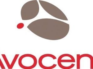 Avocent keyboard / video / mouse / audio cable - 3 ft