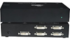 NTI DVI Video Splitter - 4 Port