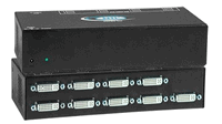 NTI DVI Video Splitter - 8 Port