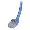 KVMSO 100ft CAT5e UTP Patch Cable - Blue