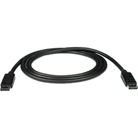 NTI DisplayPort Cable, Male to Male, 3 feet