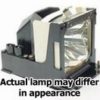 Sharp DT-500 PROJECTOR LAMP