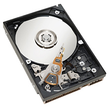 HP 80 GB SATA II Internal Hard Drive