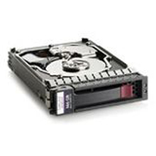 HP 300 GB SCSI Internal Hard Drive- EV192AV