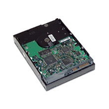 HP 160 GB Internal Hard Drive for ProLiant Servers-411275-B21