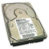 HP 500 GB SATA300 Internal Hard Drive-EV198AV
