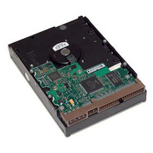 HP 40 GB Ultra ATA100 Internal Hard Drive-DE831AV
