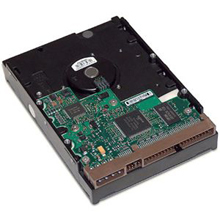 HP 40 GB Ultra ATA100 Internal Hard Drive-DE350AV