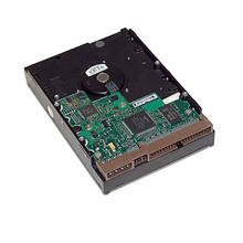 HP 40 GB Ultra ATA100 Internal Hard Drive-A7195AR#0D1